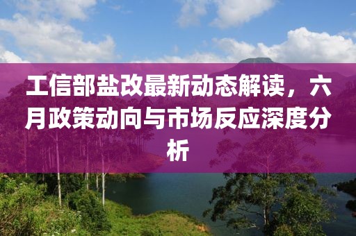 工信部盐改最新动态解读，六月政策动向与市场反应深度分析