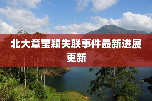 北大章莹颖失联事件最新进展更新