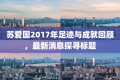 苏爱国2017年足迹与成就回顾，最新消息探寻标题