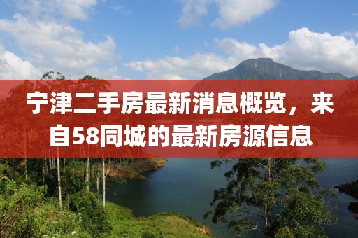 宁津二手房最新消息概览，来自58同城的最新房源信息
