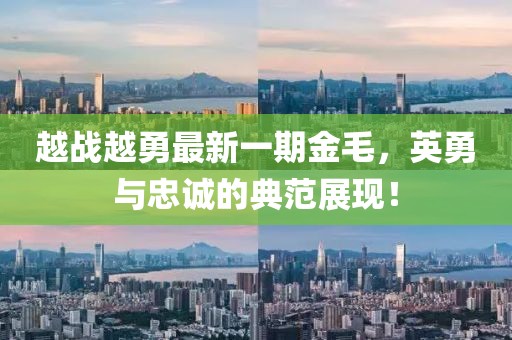 越战越勇最新一期金毛，英勇与忠诚的典范展现！
