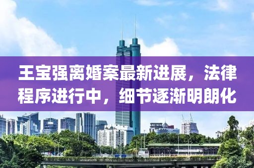王宝强离婚案最新进展，法律程序进行中，细节逐渐明朗化
