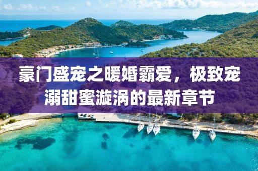 豪门盛宠之暖婚霸爱，极致宠溺甜蜜漩涡的最新章节
