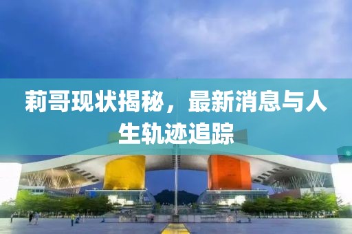 莉哥现状揭秘，最新消息与人生轨迹追踪