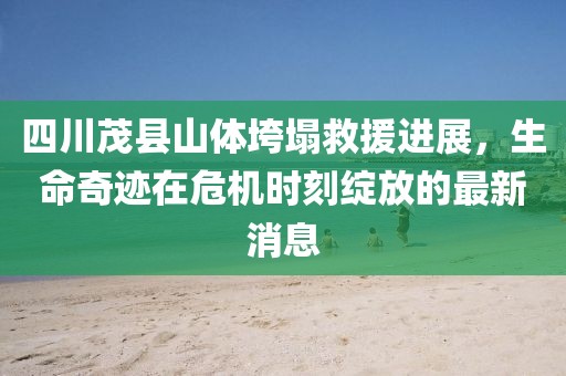 四川茂县山体垮塌救援进展，生命奇迹在危机时刻绽放的最新消息