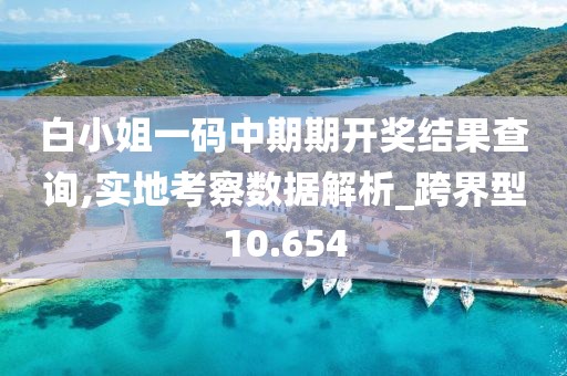 白小姐一码中期期开奖结果查询,实地考察数据解析_跨界型10.654