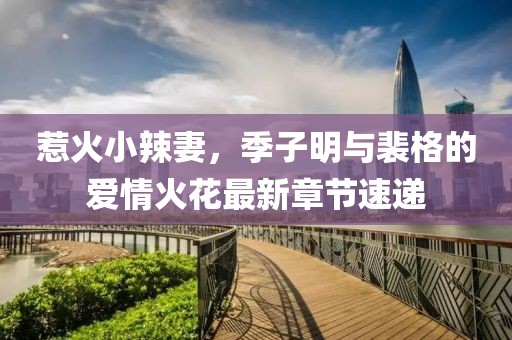 惹火小辣妻，季子明与裴格的爱情火花最新章节速递