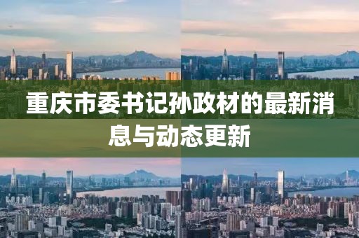 重庆市委书记孙政材的最新消息与动态更新
