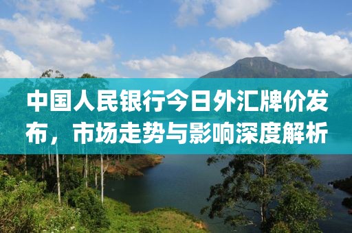 中国人民银行今日外汇牌价发布，市场走势与影响深度解析