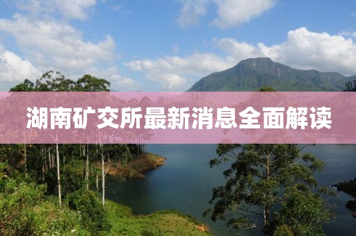 湖南矿交所最新消息全面解读