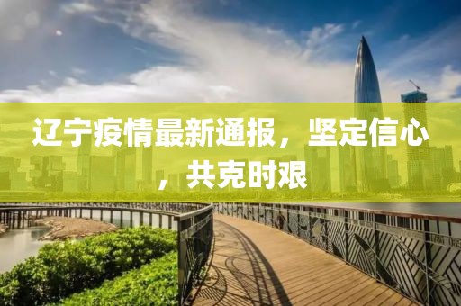 辽宁疫情最新通报，坚定信心，共克时艰