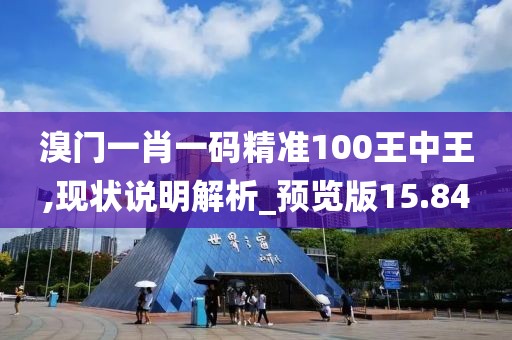 溴门一肖一码精准100王中王,现状说明解析_预览版15.84