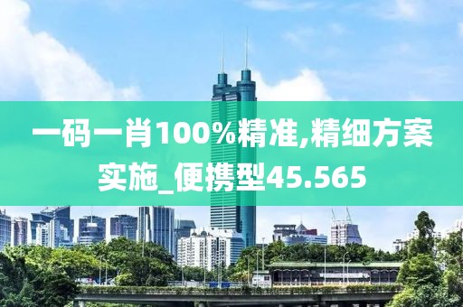 一码一肖100%精准,精细方案实施_便携型45.565