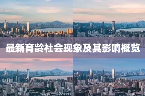 最新育龄社会现象及其影响概览