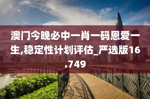 澳门今晚必中一肖一码恩爱一生,稳定性计划评估_严选版16.749