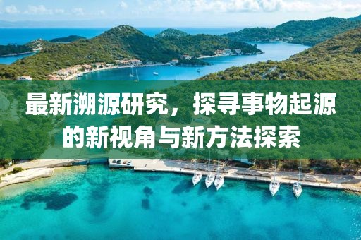 最新溯源研究，探寻事物起源的新视角与新方法探索
