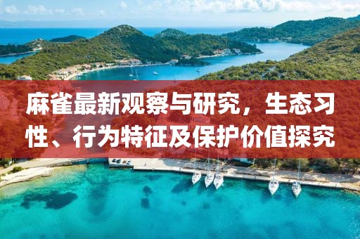 麻雀最新观察与研究，生态习性、行为特征及保护价值探究