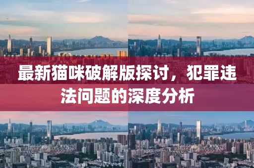 最新猫咪破解版探讨，犯罪违法问题的深度分析