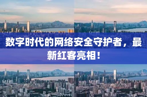 数字时代的网络安全守护者，最新红客亮相！