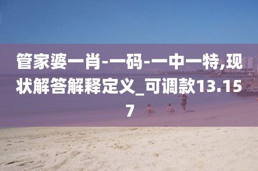 管家婆一肖-一码-一中一特,现状解答解释定义_可调款13.157