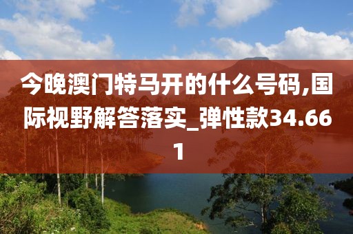 今晚澳门特马开的什么号码,国际视野解答落实_弹性款34.661
