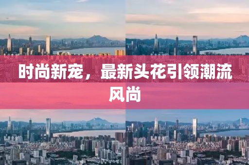 时尚新宠，最新头花引领潮流风尚