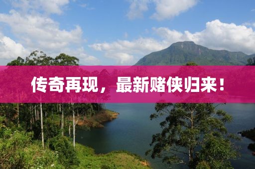 传奇再现，最新赌侠归来！