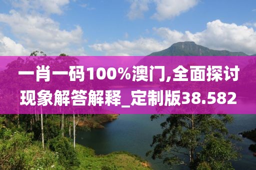 一肖一码100%澳门,全面探讨现象解答解释_定制版38.582