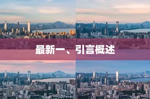 最新一、引言概述