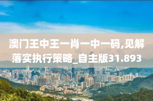 澳门王中王一肖一中一码,见解落实执行策略_自主版31.893