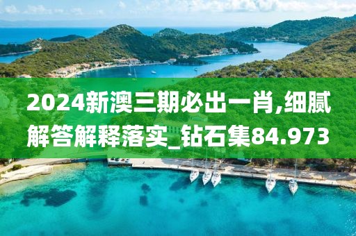 2024新澳三期必出一肖,细腻解答解释落实_钻石集84.973