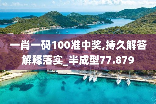 一肖一码100准中奖,持久解答解释落实_半成型77.879