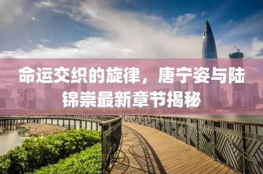 命运交织的旋律，唐宁姿与陆锦崇最新章节揭秘