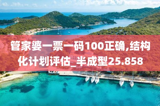 管家婆一票一码100正确,结构化计划评估_半成型25.858