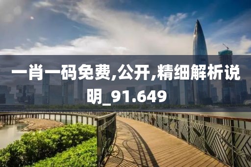 一肖一码免费,公开,精细解析说明_91.649