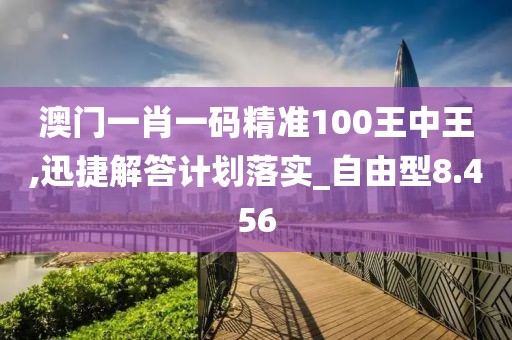 澳门一肖一码精准100王中王,迅捷解答计划落实_自由型8.456