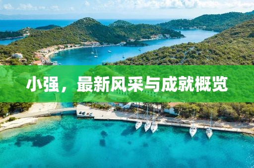小强，最新风采与成就概览