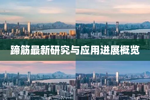 蹄筋最新研究与应用进展概览