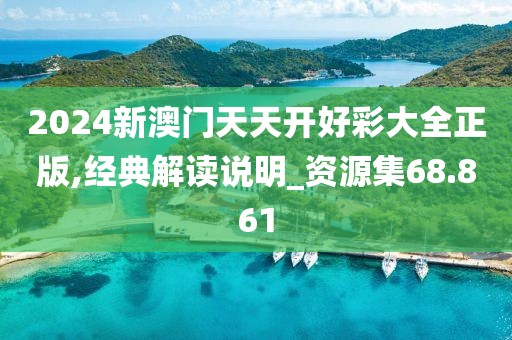 2024新澳门天天开好彩大全正版,经典解读说明_资源集68.861