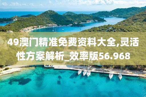 49澳门精准免费资料大全,灵活性方案解析_效率版56.968