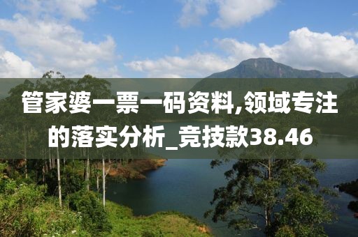管家婆一票一码资料,领域专注的落实分析_竞技款38.46