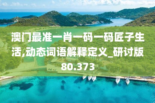 澳门最准一肖一码一码匠子生活,动态词语解释定义_研讨版80.373
