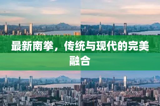 最新南拳，传统与现代的完美融合