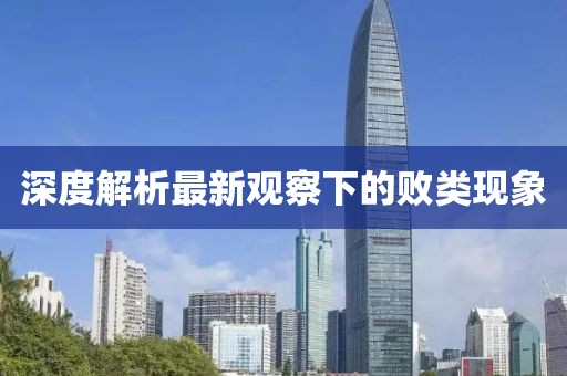 深度解析最新观察下的败类现象