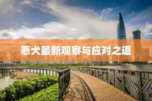 恶犬最新观察与应对之道