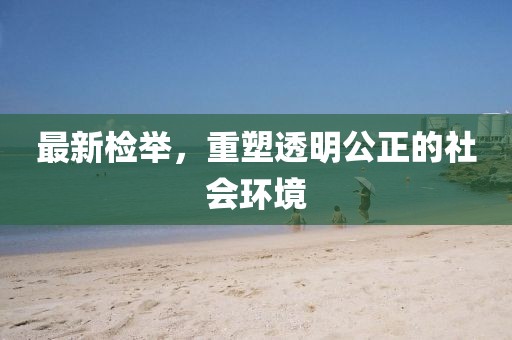 最新检举，重塑透明公正的社会环境
