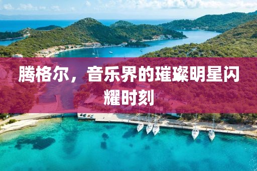 腾格尔，音乐界的璀璨明星闪耀时刻
