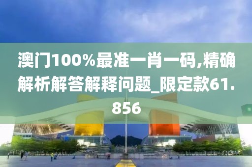 澳门100%最准一肖一码,精确解析解答解释问题_限定款61.856