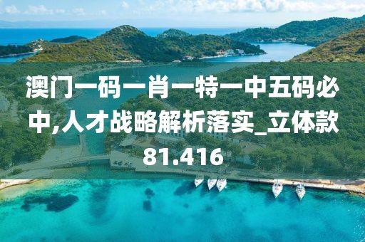 澳门一码一肖一特一中五码必中,人才战略解析落实_立体款81.416