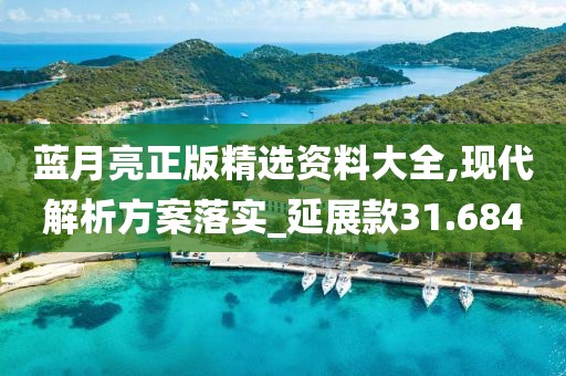 蓝月亮正版精选资料大全,现代解析方案落实_延展款31.684